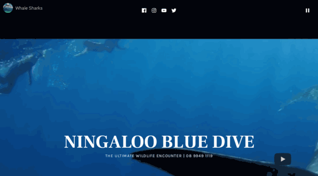 ningalooblue.com.au