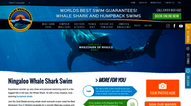 ningaloowhalesharks.com