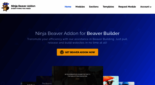 ninjabeaveraddon.com