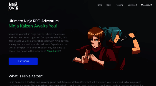 ninjakaizen.com