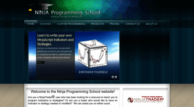 ninjaprogrammingschool.com