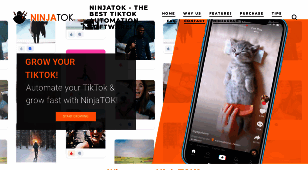 ninjatok.com