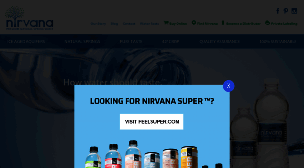 nirvanawater.com