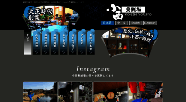 nishikigoi.co.jp