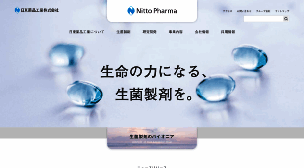 nitto-pharma.co.jp