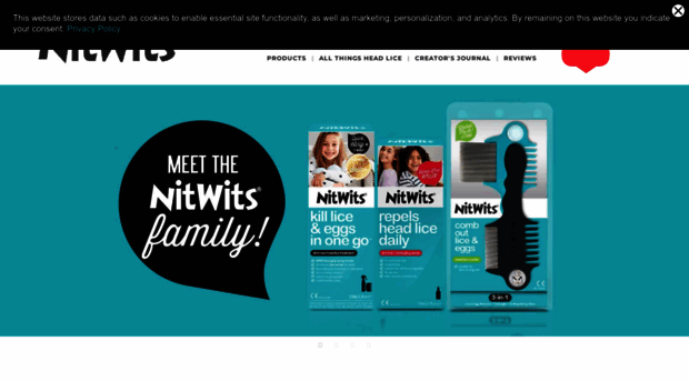 nitwitsforkids.com