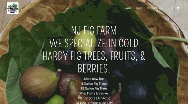 njfigfarm.com