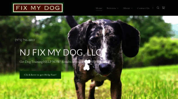 njfixmydog.com