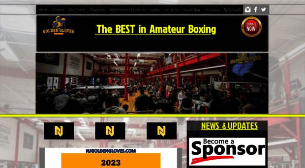 njgoldengloves.com