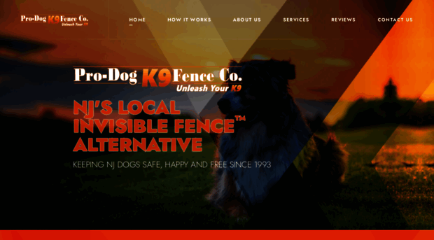 njhiddendogfence.com