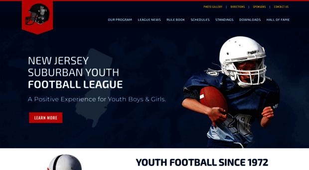 njsyfl.com