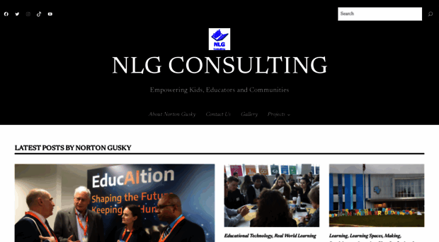 nlg-consulting.net