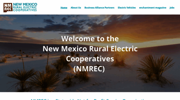 nmelectric.coop