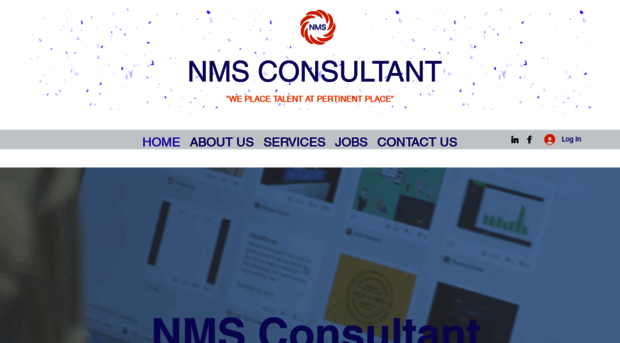 nmsconsultant.com