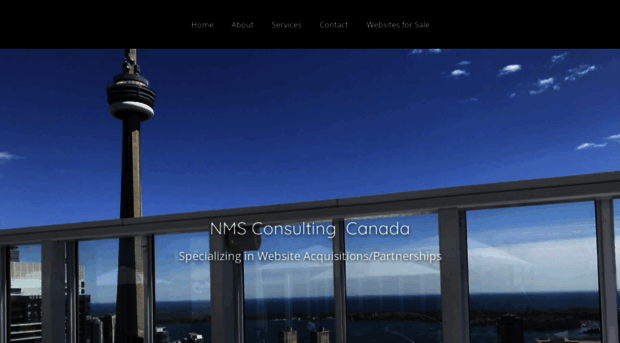 nmsconsulting.ca