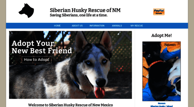 nmsiberianrescue.com