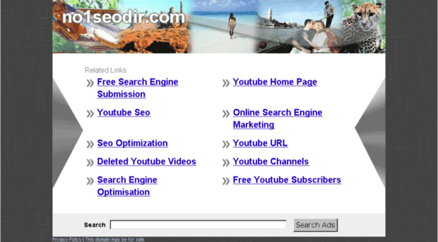 no1seodir.com