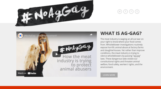 noaggag.com