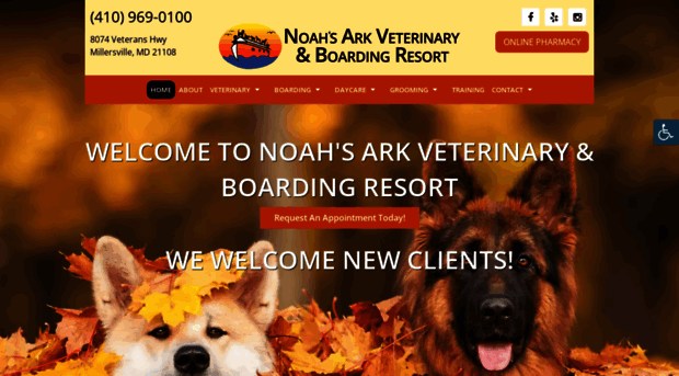 noahsarkboardingresort.com