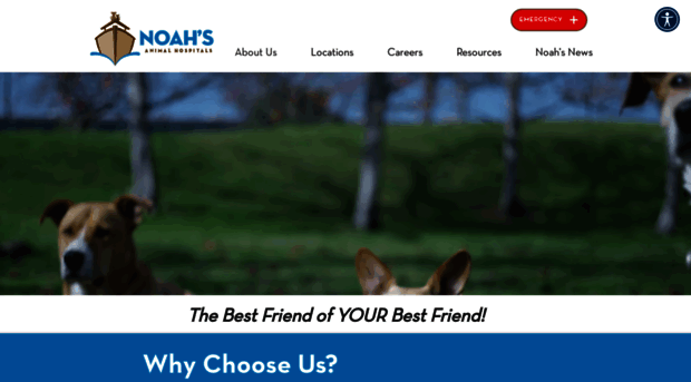 noahshospitals.com