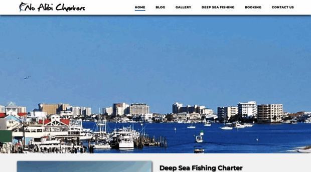 noalibichartersdestin.com