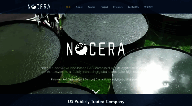 nocera.company