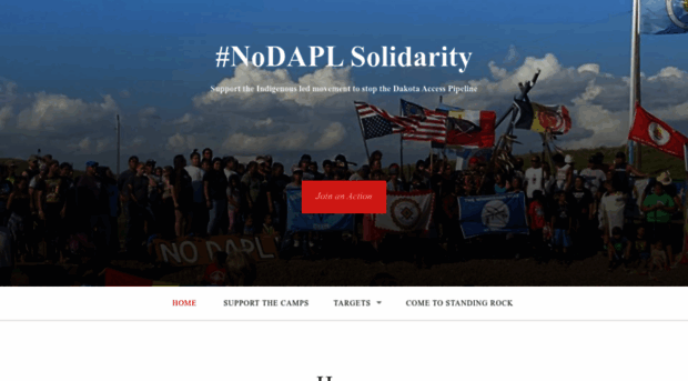 nodaplsolidarity.org