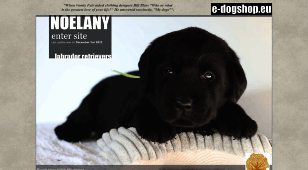 noelany-labradors.com