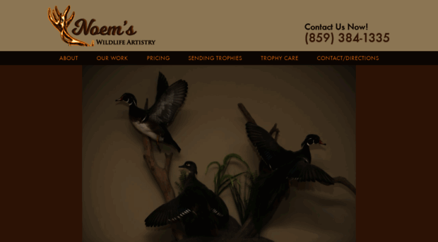 noemtaxidermy.com