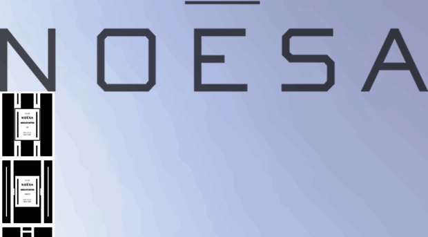 noesa.com