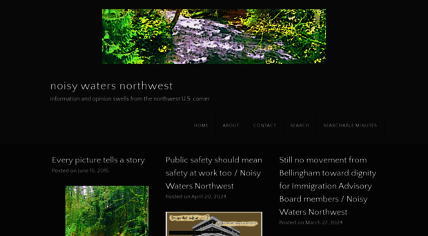 noisywatersnw.com