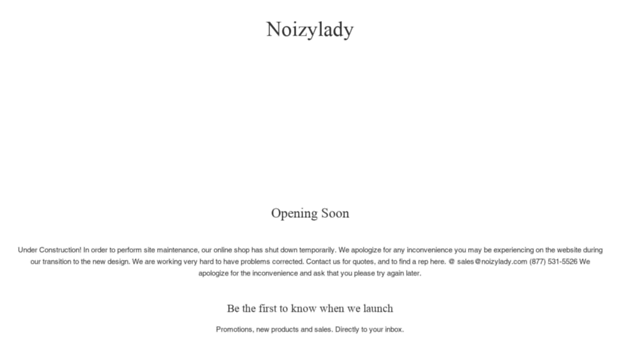 noizylady.com