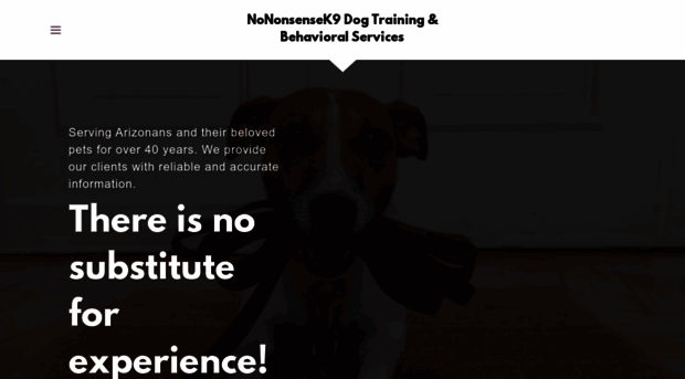 nokaoidogtraining.com