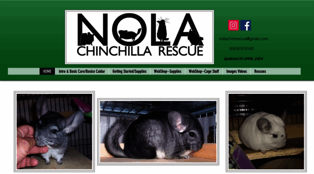 nolachinchillarescue.org