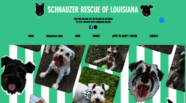 nolaschnauzer.com