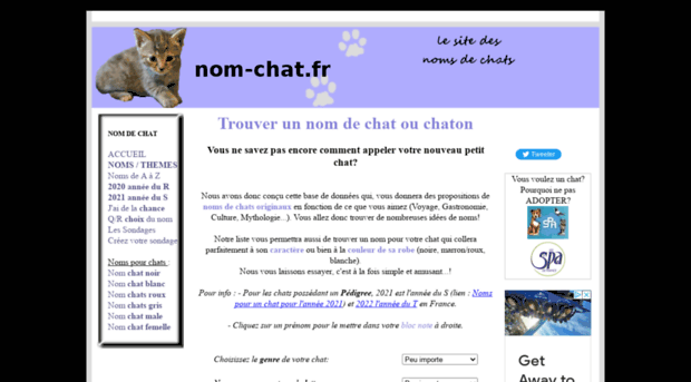 Nom Chat Fr Nom Chat Trouvez Un Nom De C Nom Chat