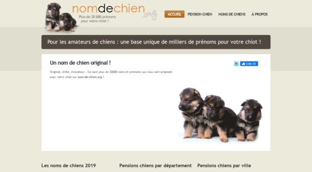 nom-chien.com