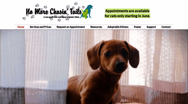 nomorechasintails.com