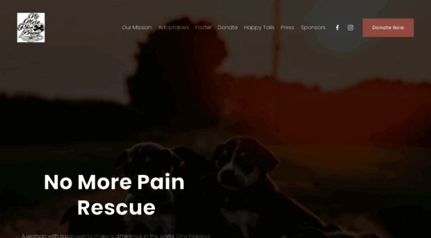 nomorepainrescue.org