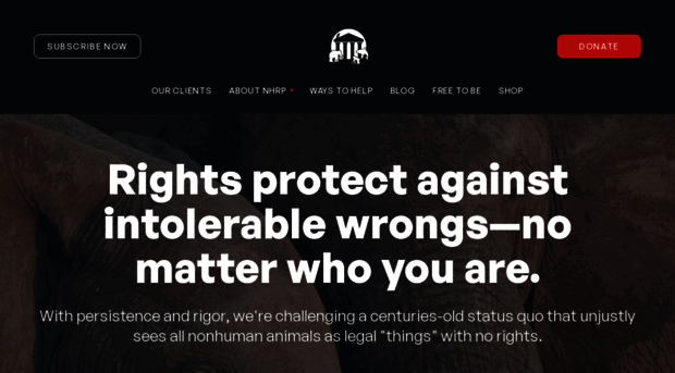 nonhumanrightsproject.org