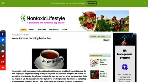 nontoxiclifestylesolutions.blogspot.com