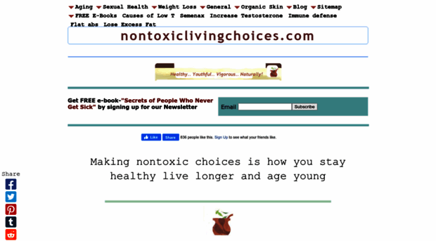 nontoxiclivingchoices.com