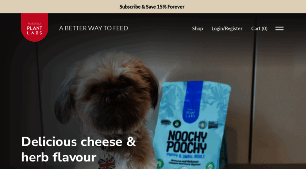 noochypoochy.com