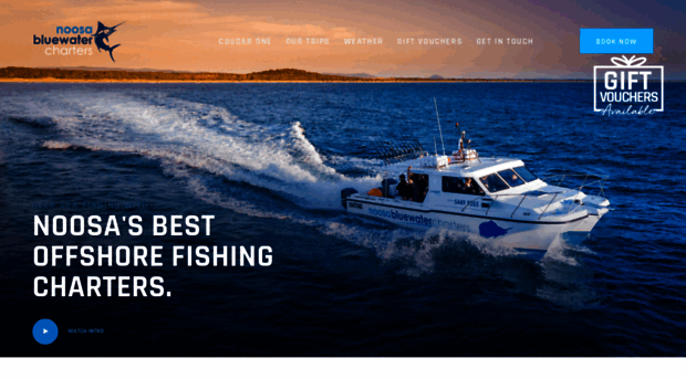 noosabluefishing.com.au