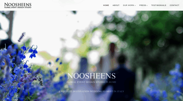 noosheens.com