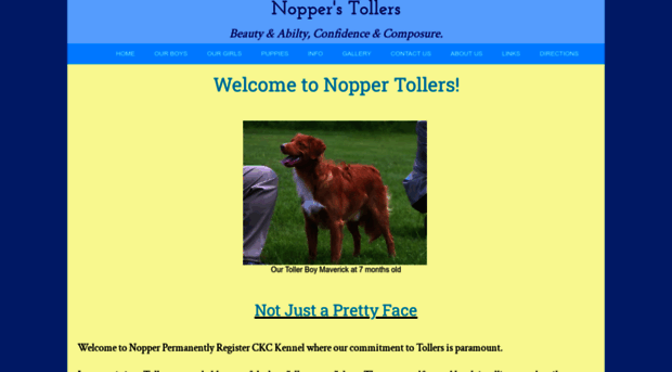 nopperdogs.com