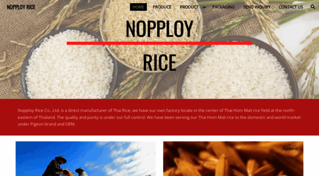 nopploy.com