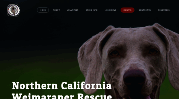 norcalweimrescue.org