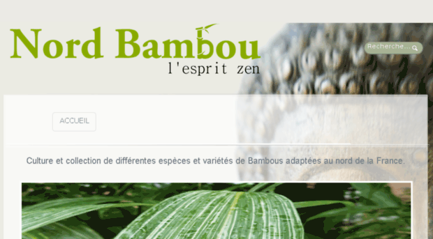 nord-bambou.fr