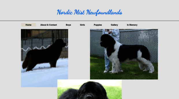 nordicmistnewfoundlands.com